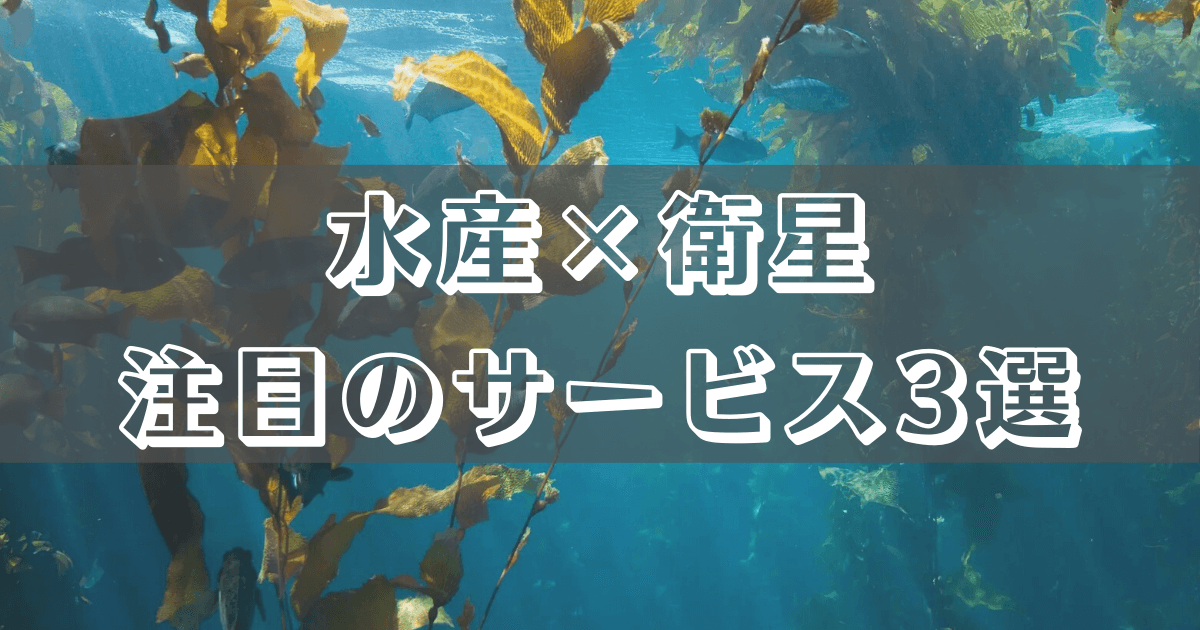 【水産×衛星】 人工衛星で水産業界の課題を解決！注目のサービス3選