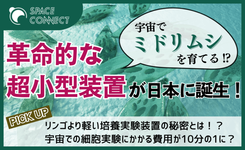 space-euglena-thumbnail-