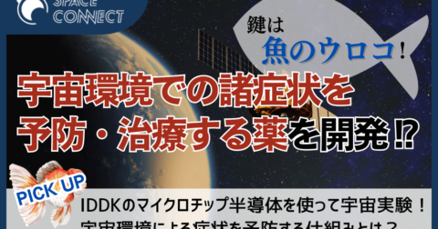 魚のウロコの研究で宇宙疾患の治療薬を開発!?人工衛星を用いる宇宙実験に注目!