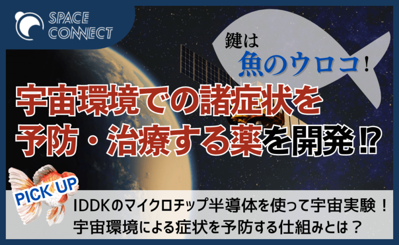 魚のウロコの研究で宇宙疾患の治療薬を開発！？人工衛星を用いる宇宙実験に注目！