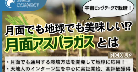 宇宙ビッグデータで栽培!月面でも地球でも美味しい月面アスパラガスとは