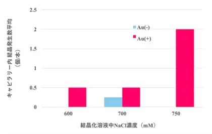 ISSで実施されたタンパク質結晶化実験の最終結果