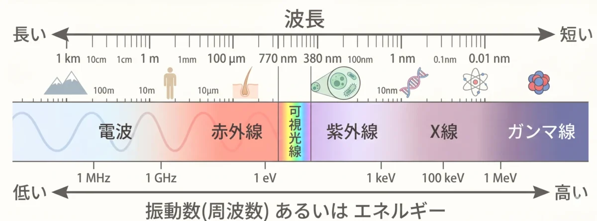 電磁波の種類を表す図　電波、可視光、X線、ガンマ線など　