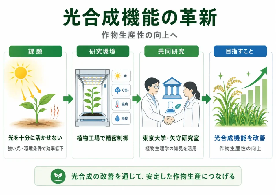 「光合成機能の革新」の研究開発の概要