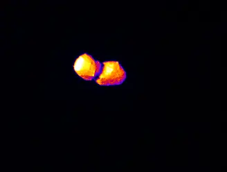 中間赤外カメラ(TIR)によって撮影された小惑星「トリフネ」